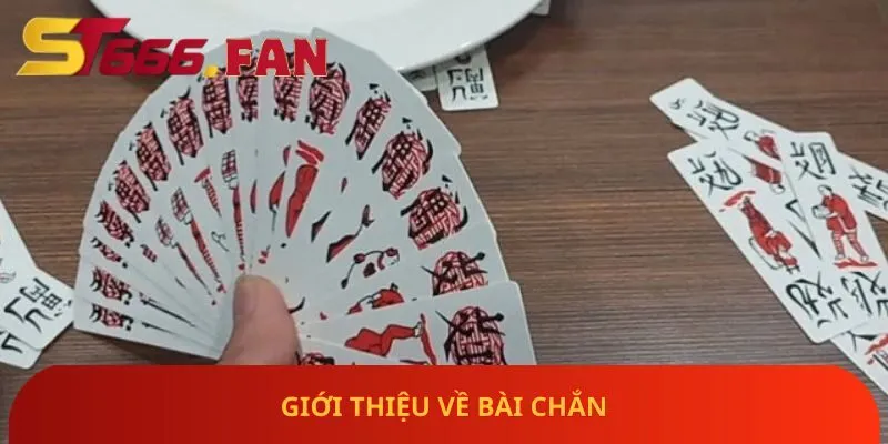 gioi-thieu-ve-bai-chan