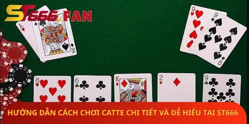 huong-dan-cach-choi-catte-chi-tiet-va-de-hieu-tai-st666