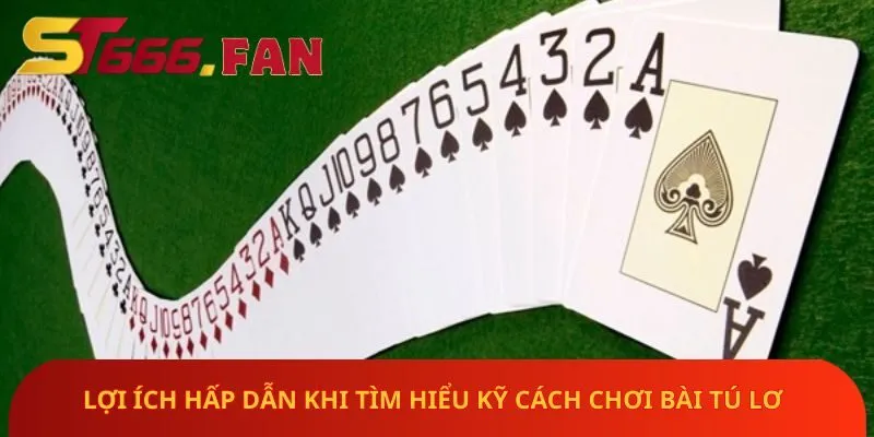 loi-ich-hap-dan-khi-tim-hieu-ky-cach-choi-bai-tu-lo